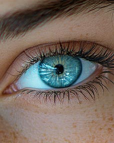 Foto Auge