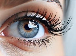 Foto Auge